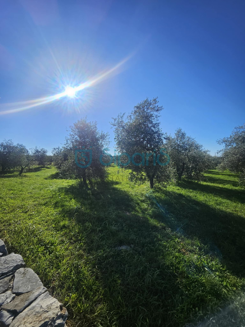 Land For sale - ISTARSKA UMAG
