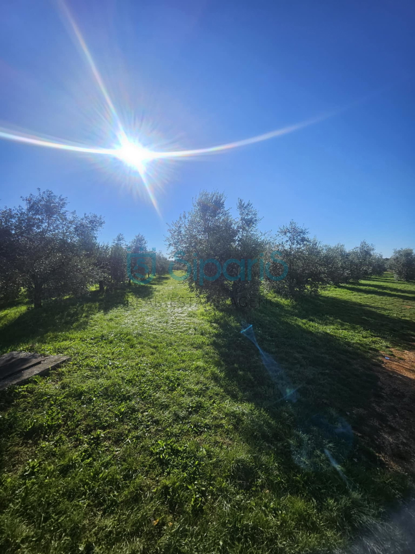 Land For sale - ISTARSKA UMAG