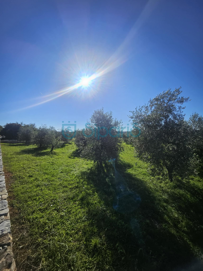 Land For sale - ISTARSKA UMAG