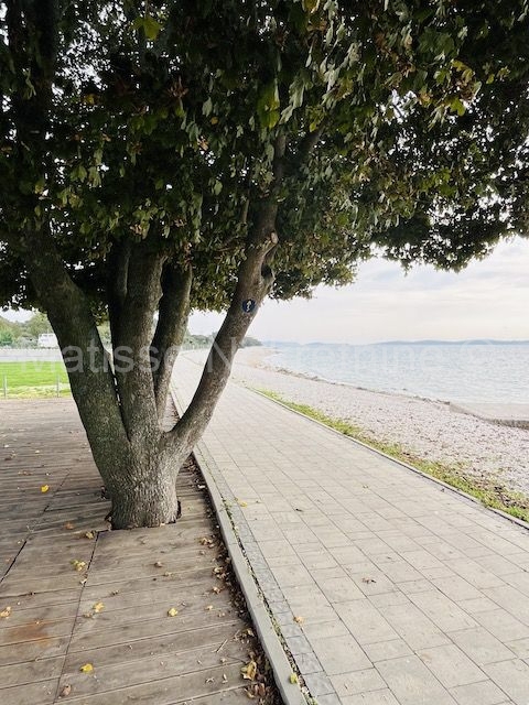 Apartment Zu verkaufen - ISTARSKA VODNJAN