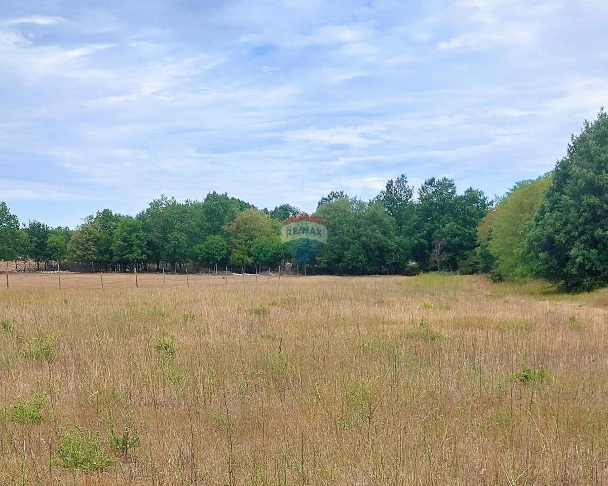 Terrain À vendre - Istarska Poreč - foto 1/2
