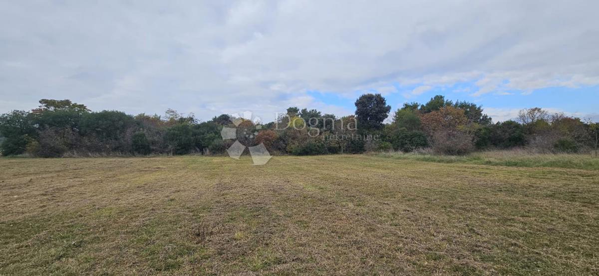Land For sale - ISTARSKA PULA