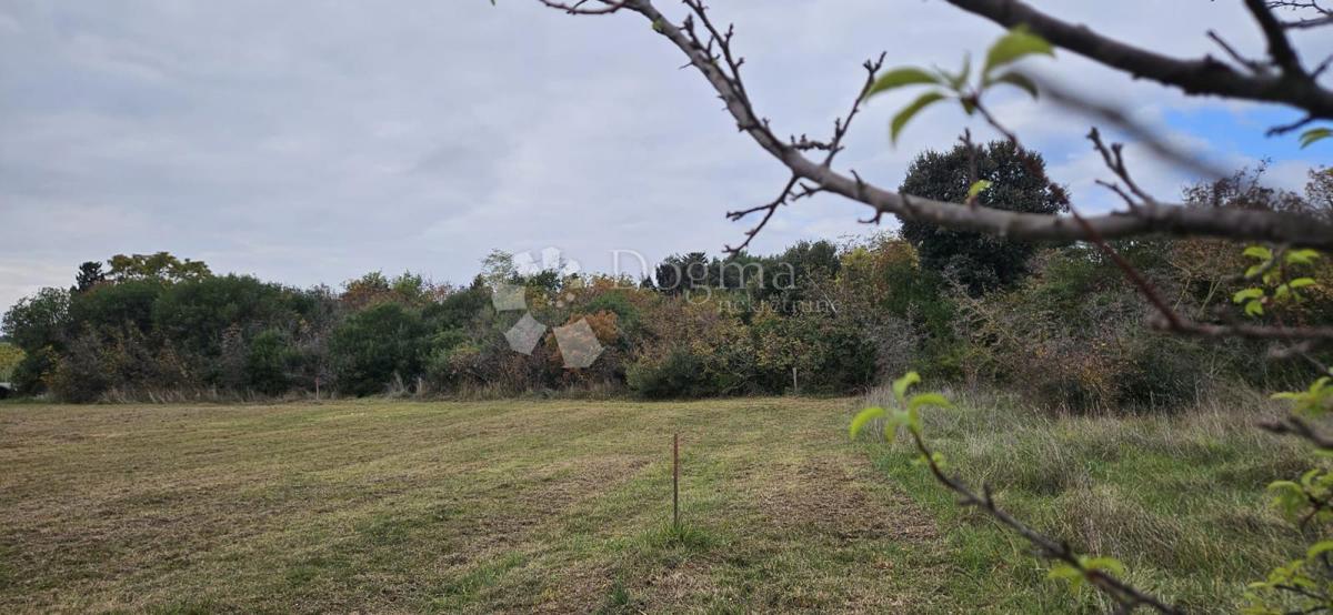 Land For sale - ISTARSKA PULA