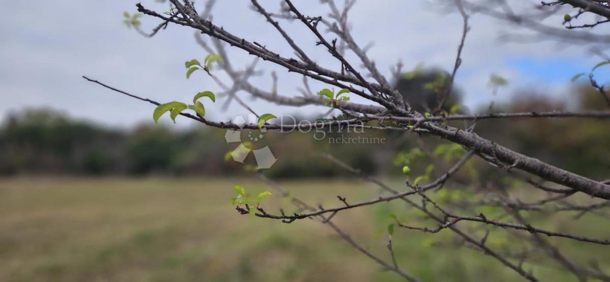 Land For sale - ISTARSKA PULA
