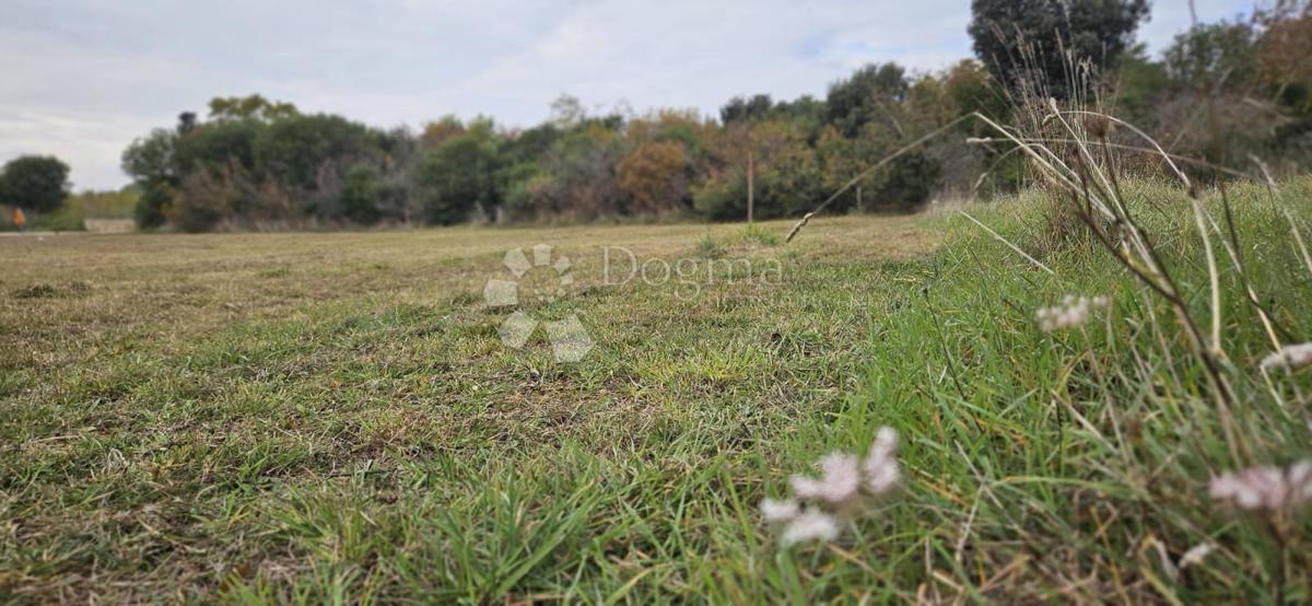 Land For sale - ISTARSKA PULA
