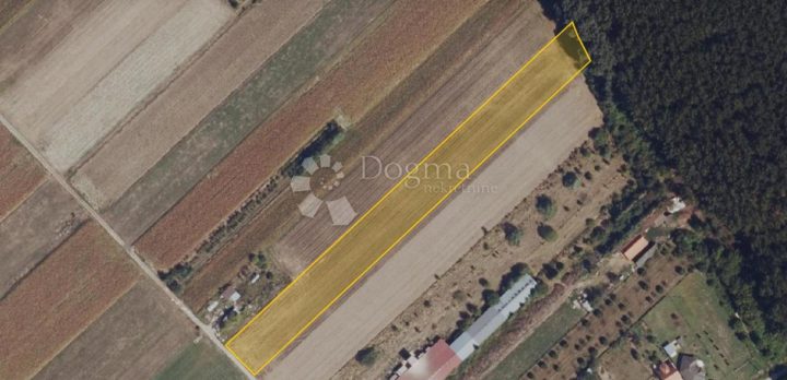 Pozemek na prodej 9849 m² – Osijek