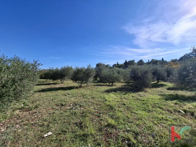 Terreno in vendita 2422 m² – Marčana