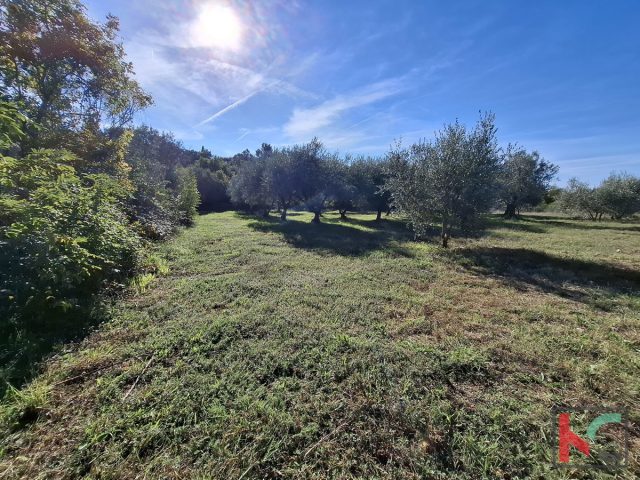 Land For sale - Istarska Marčana - foto 4/5