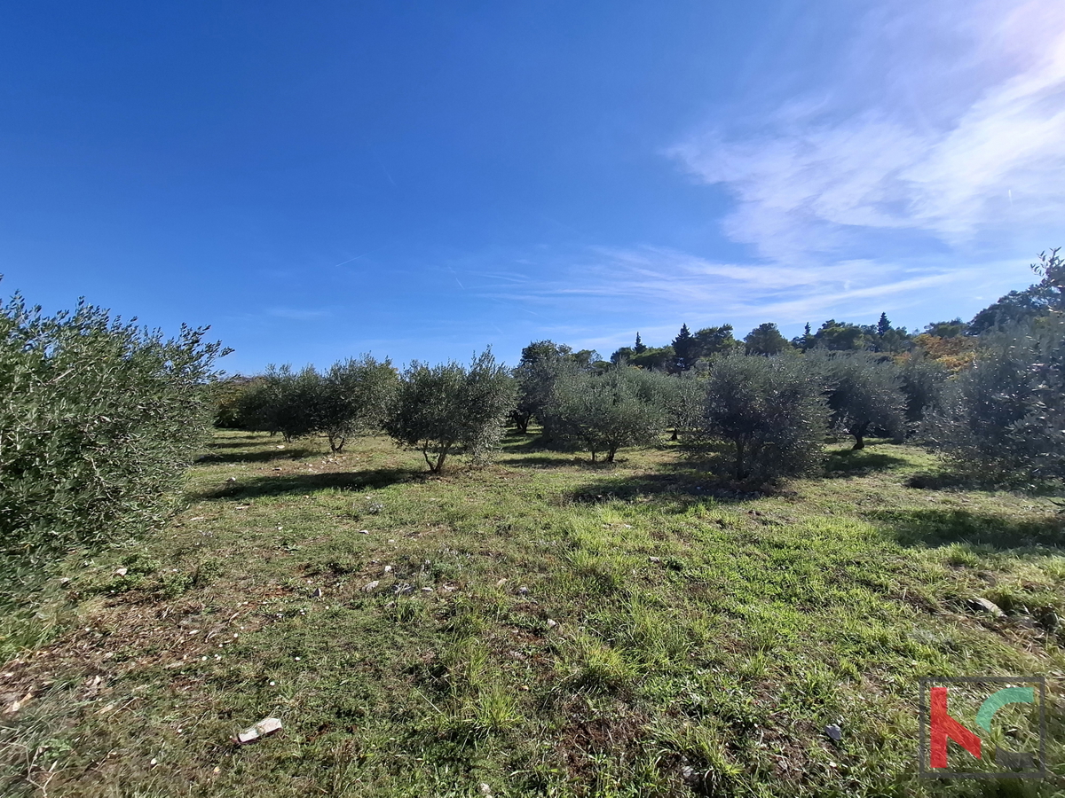 Parcela Na predaj - Istarska Marčana - foto 1/5