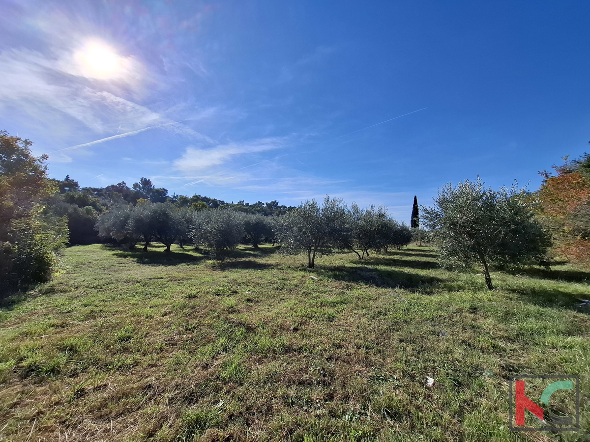 Parcela Na predaj - Istarska Marčana - foto 2/5