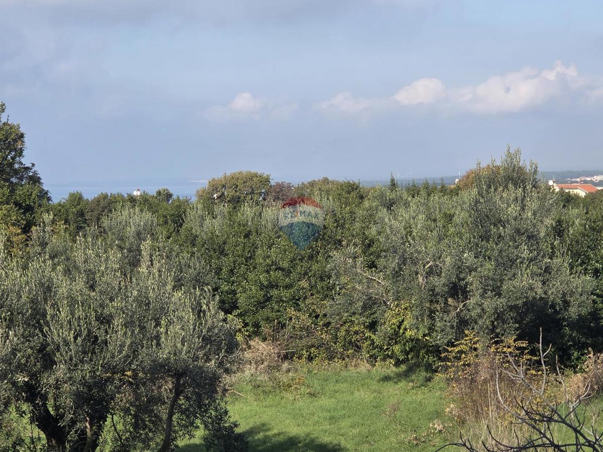 Appartement À vendre - ISTARSKA PULA
