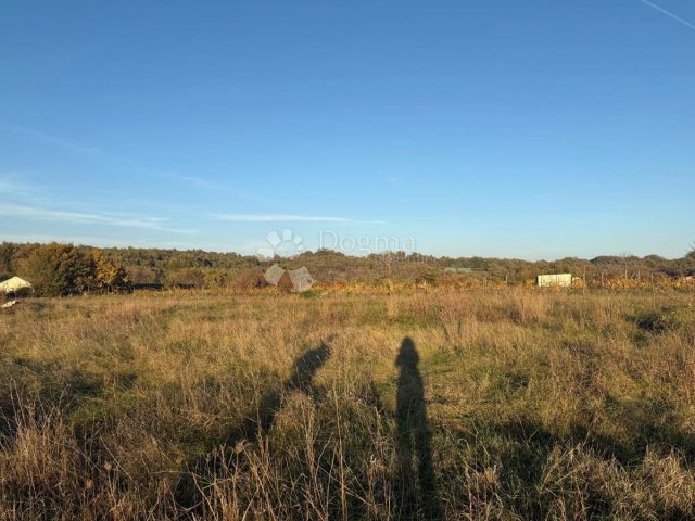 Land For sale - Istarska Svetvinčenat - foto 4/4