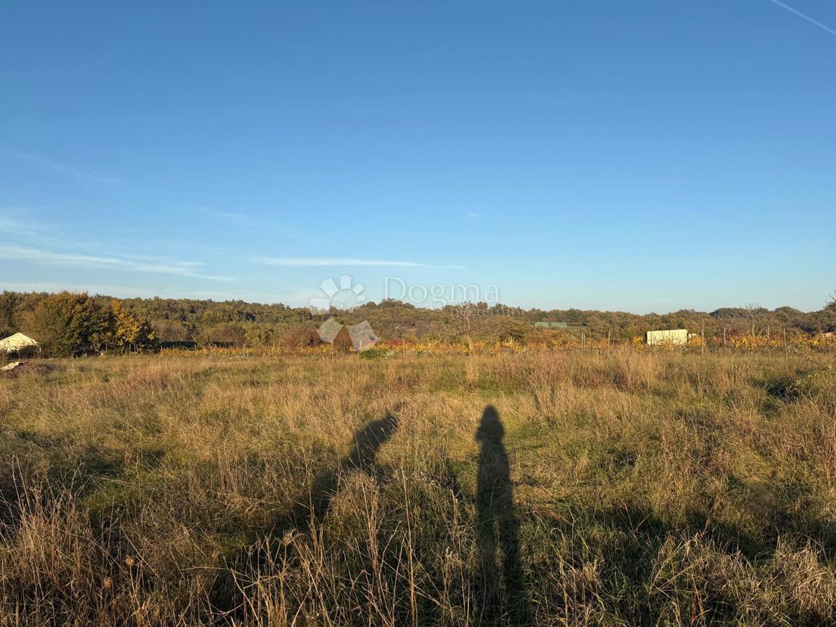 Terreno In vendita - Istarska Svetvinčenat - foto 4/4