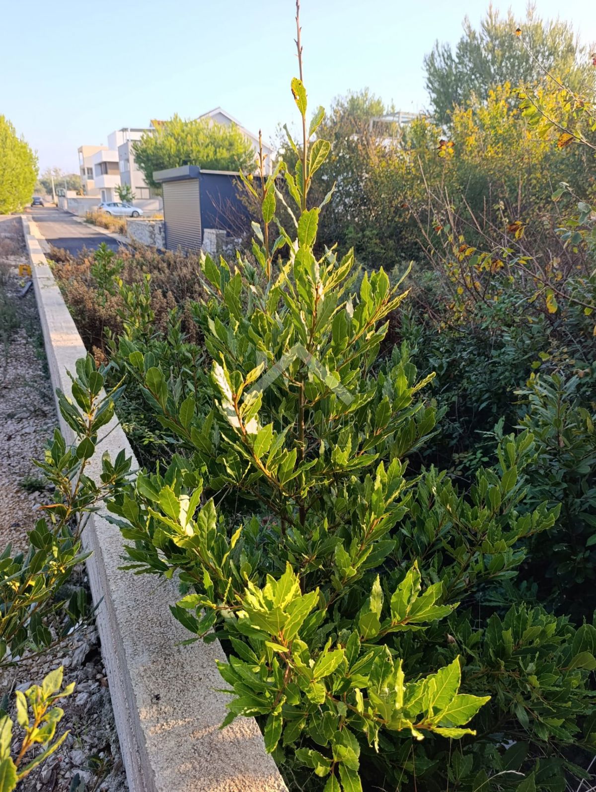 Terrain À vendre - ZADARSKA PRIVLAKA