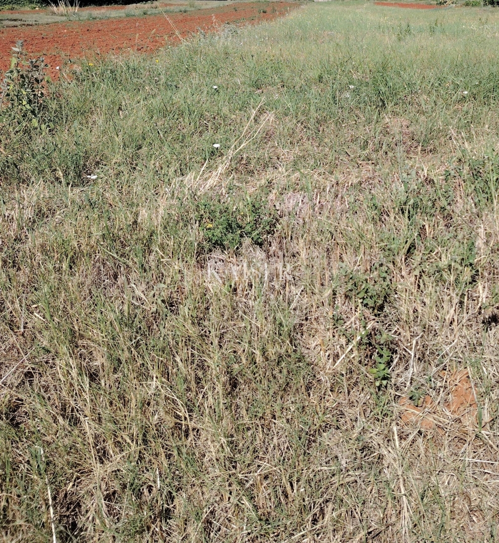Land For sale - Istarska Marčana - foto 2/4