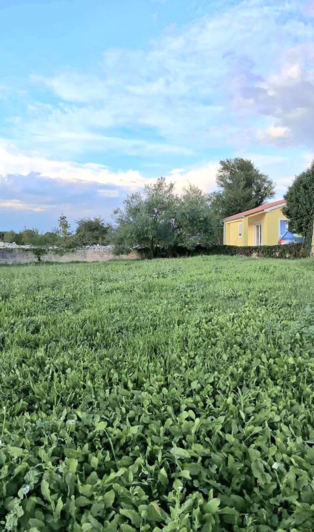 Hiša Na predaj - ISTARSKA SVETVINČENAT