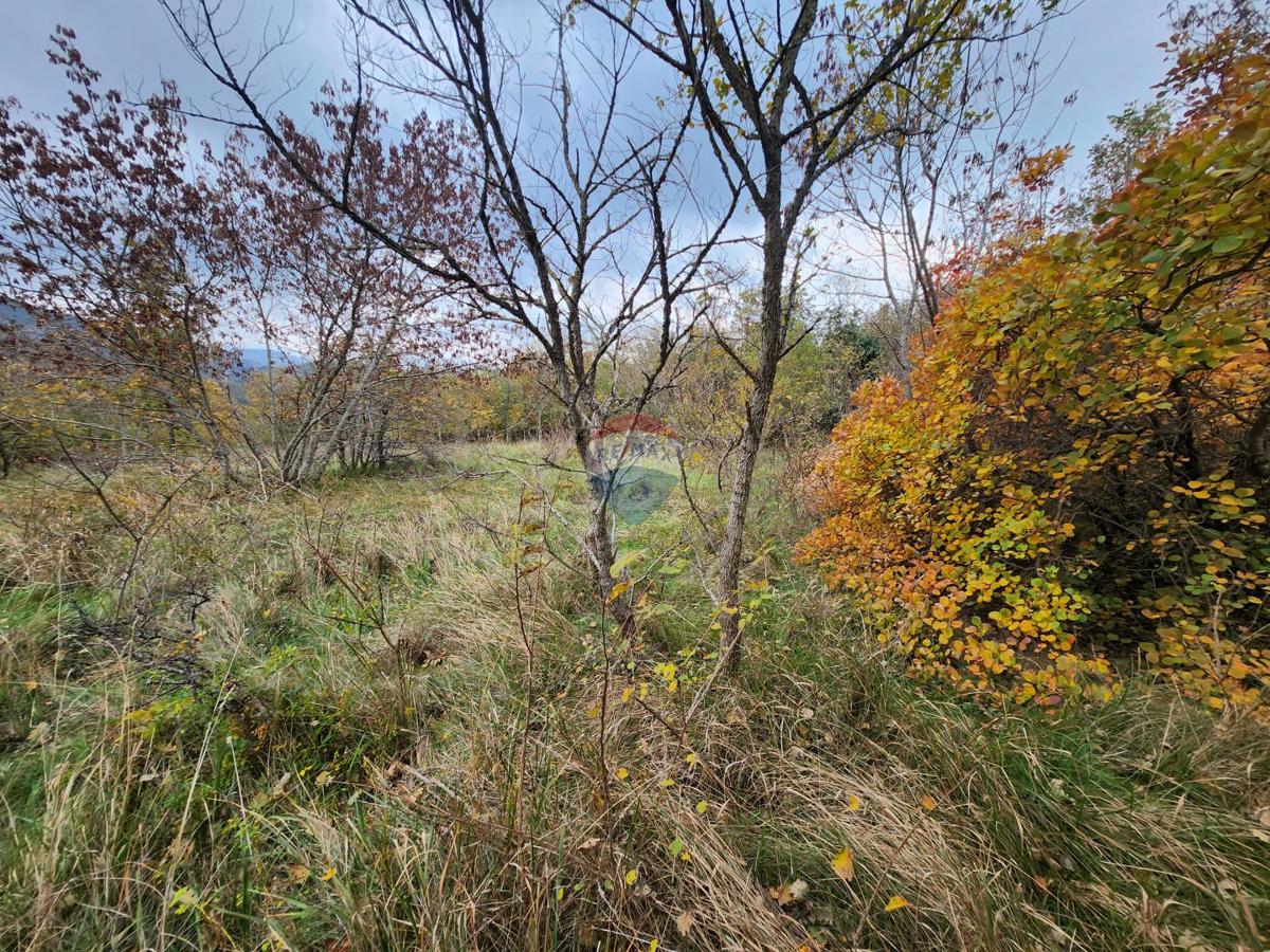 Land For sale - Istarska Buzet - foto 3/6