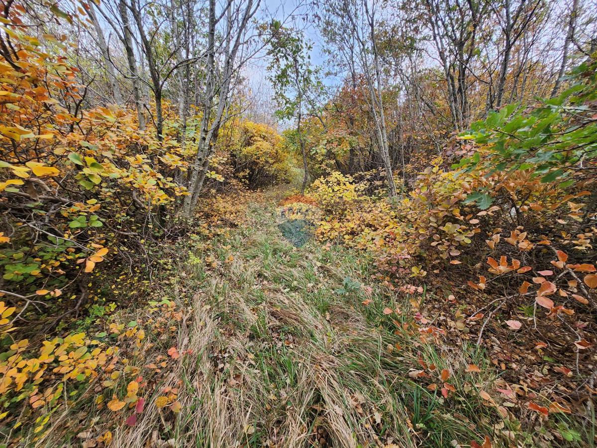 Land For sale - Istarska Buzet - foto 4/6