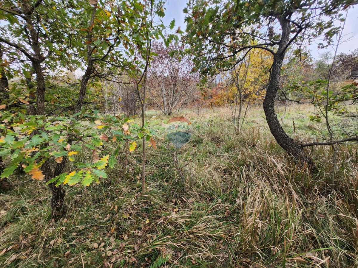Land For sale - Istarska Buzet - foto 5/6
