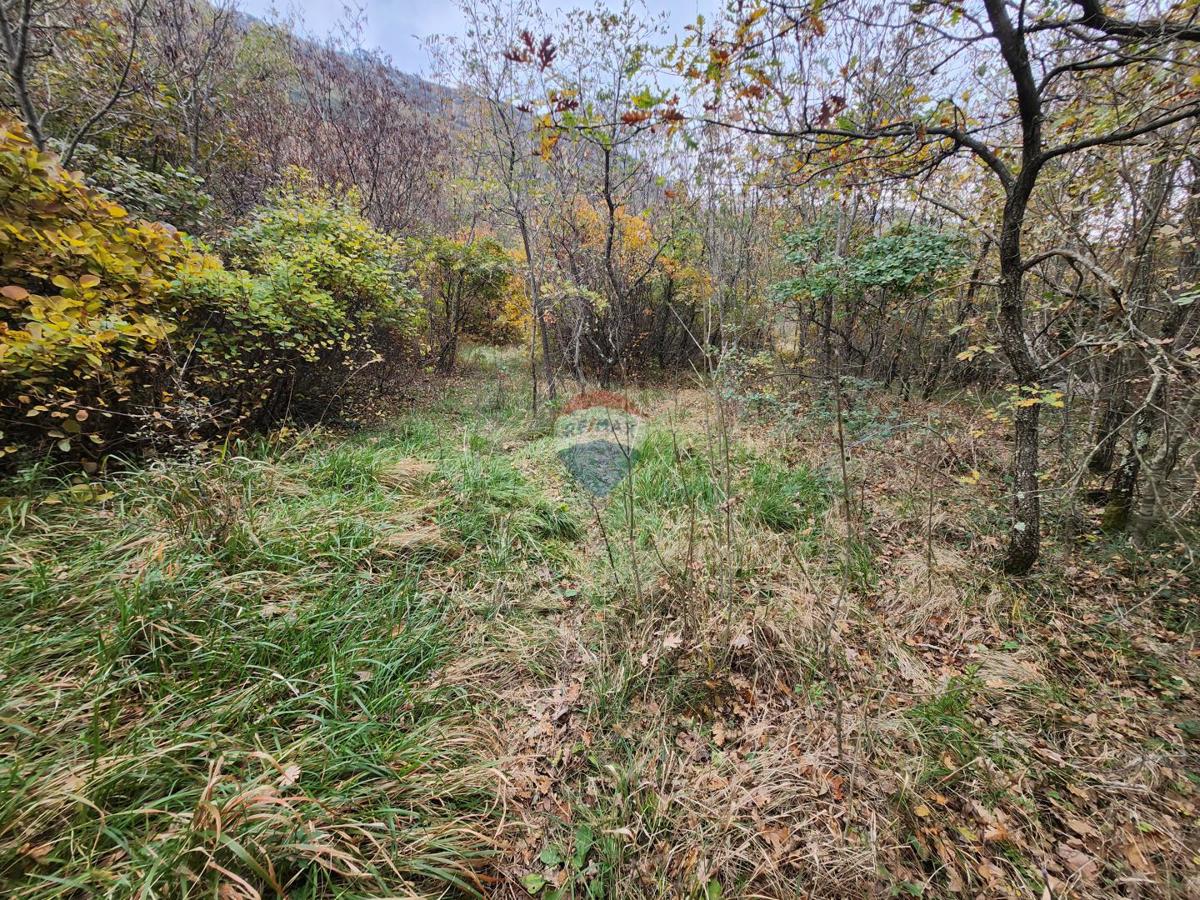 Land For sale - ISTARSKA BUZET