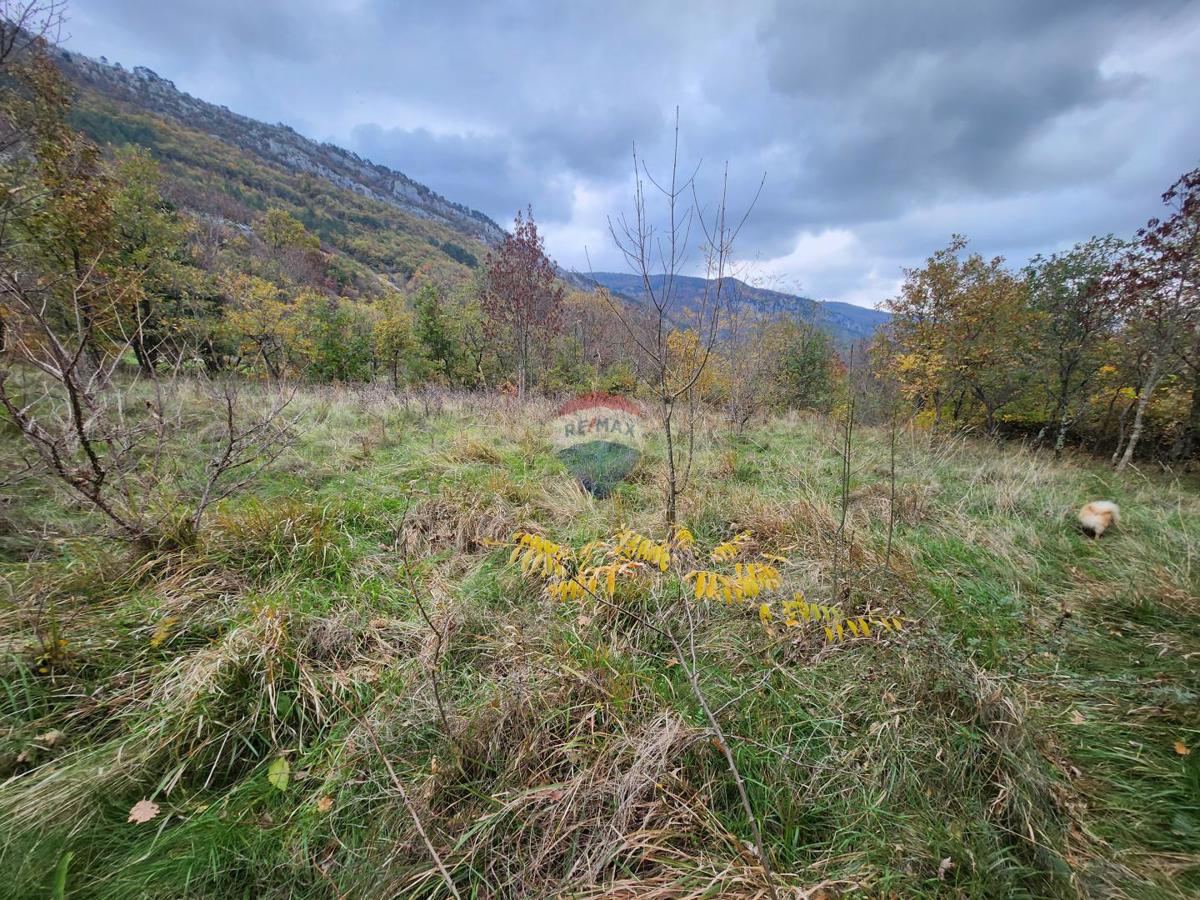 Terrain À vendre - Istarska Buzet - foto 3/9