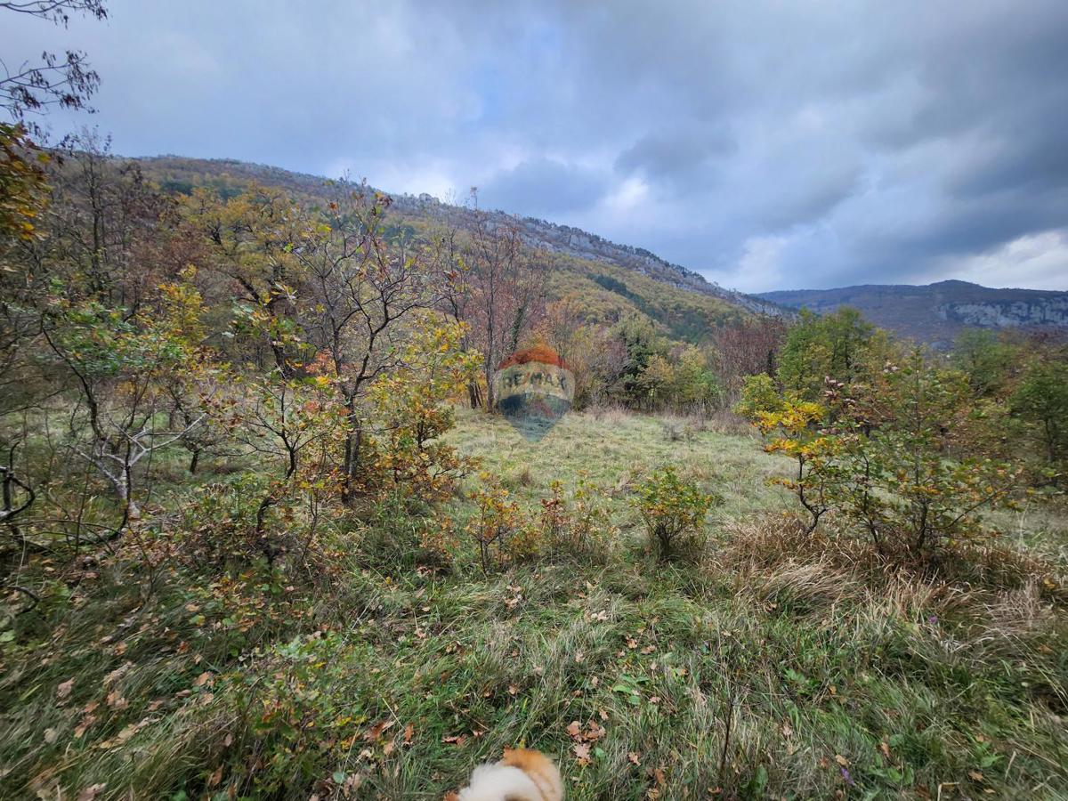 Terrain À vendre - Istarska Buzet - foto 5/9