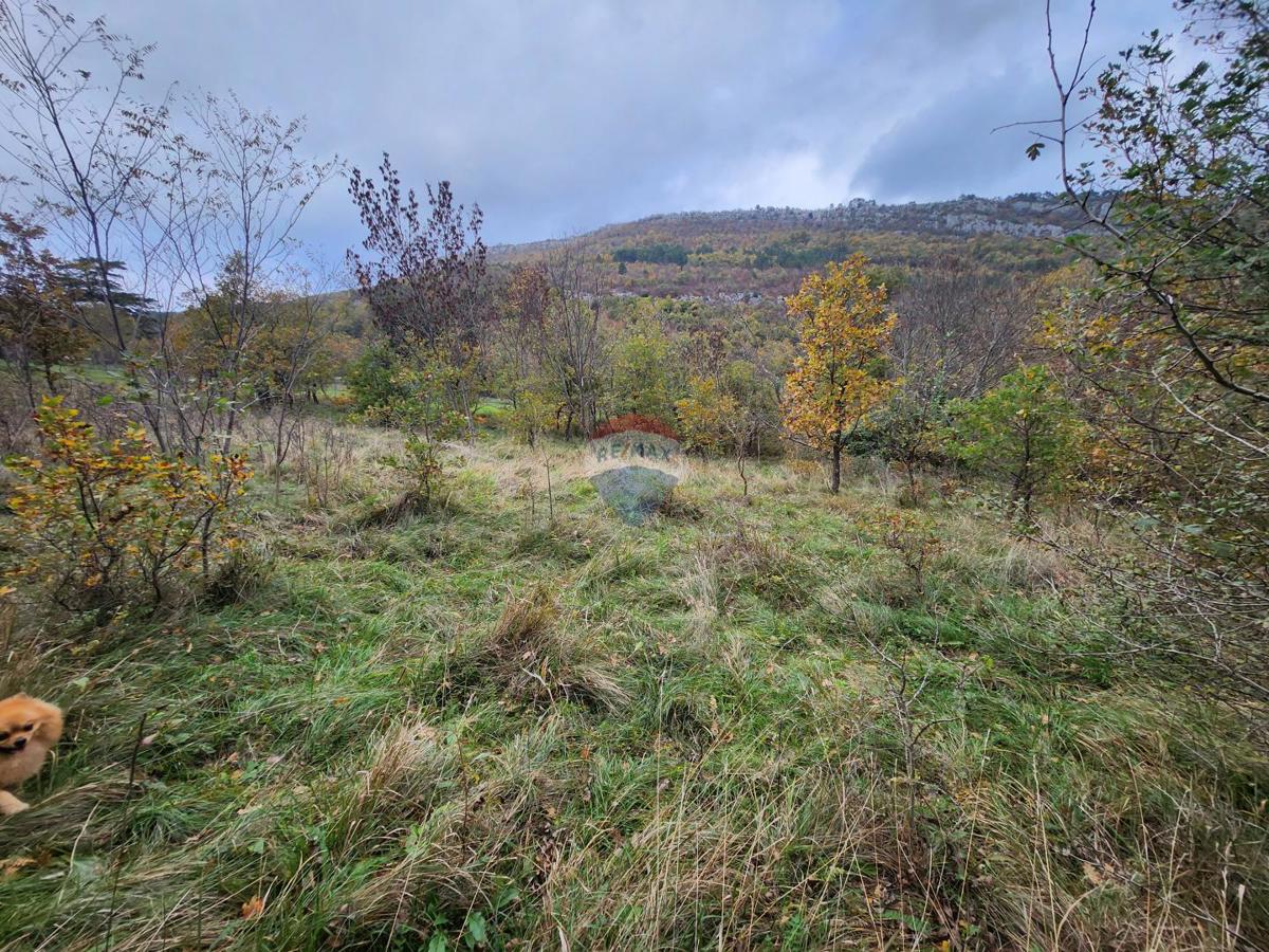 Terrain À vendre - ISTARSKA BUZET