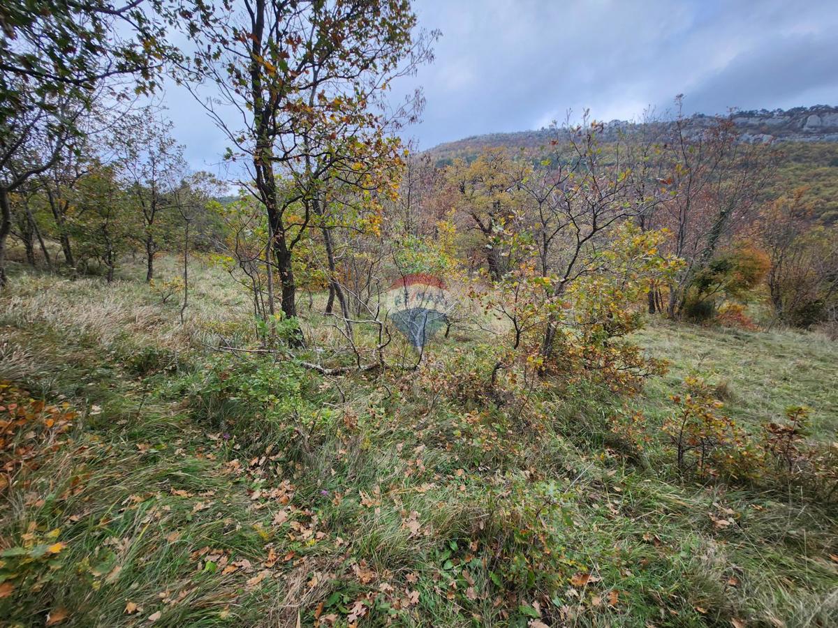 Terrain À vendre - ISTARSKA BUZET