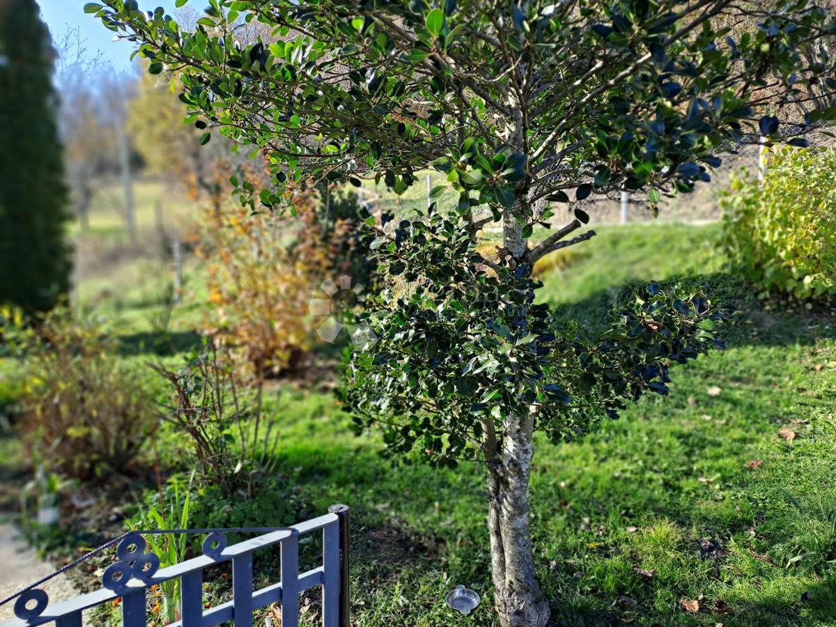 Dom Na sprzedaż - Sisačko-moslavačka Gvozd - foto 5/33