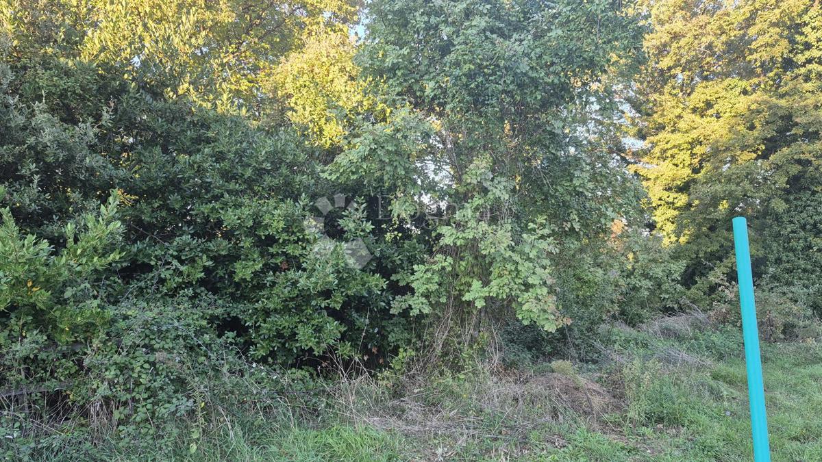Grundstück Zu verkaufen - ISTARSKA MARČANA