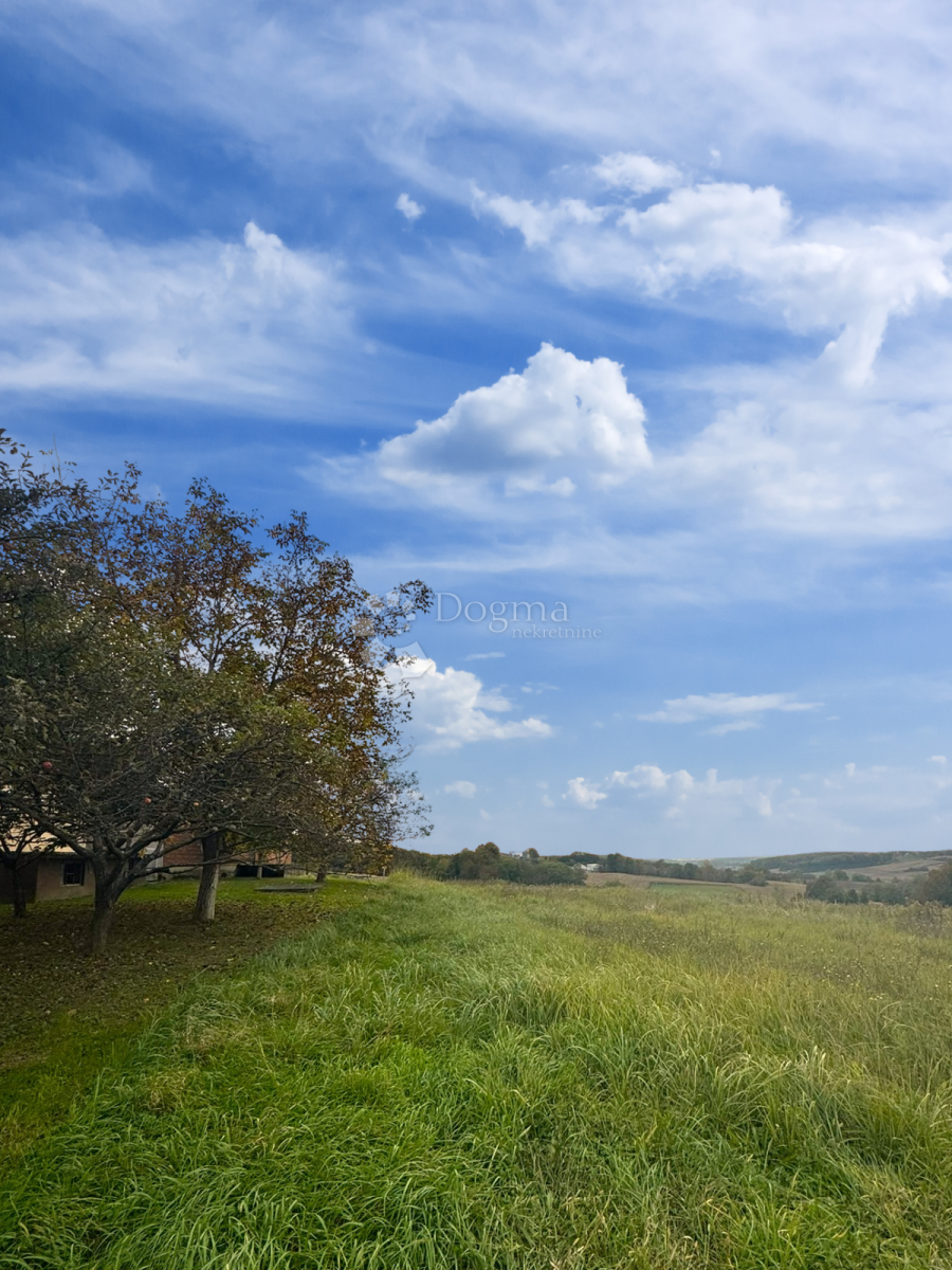 Kuća Na prodaju - BJELOVARSKO-BILOGORSKA VELIKO TROJSTVO