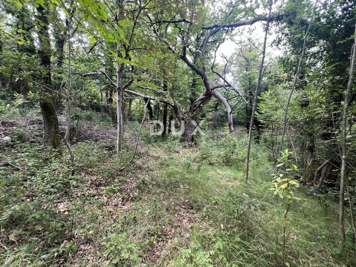 Zemljište Na prodaju - Primorsko-goranska Mošćenička Draga - foto 2/4