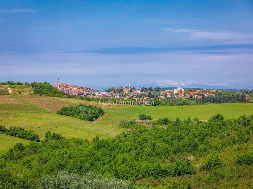 Dom Na predaj - ISTARSKA BUJE