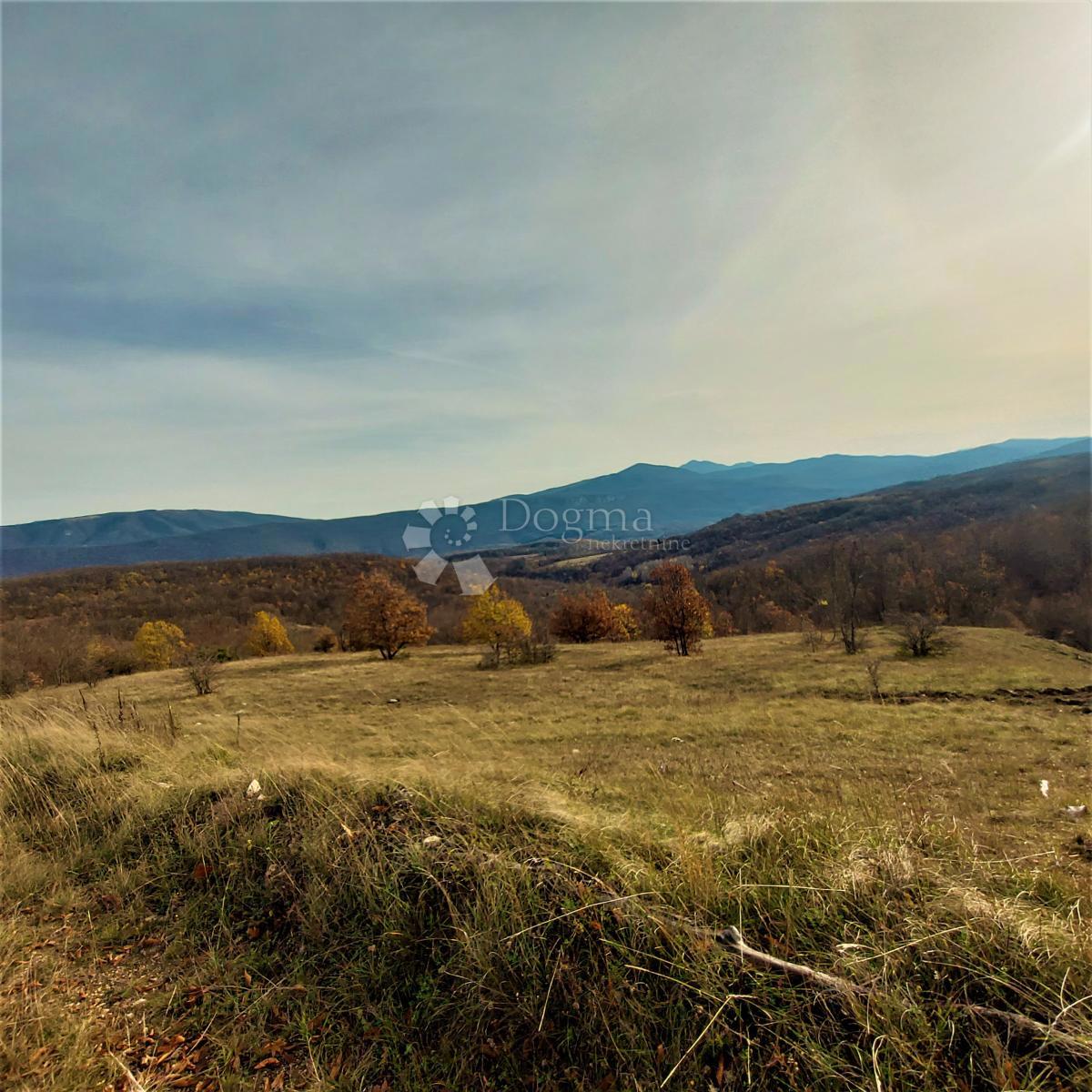 Land For sale - Ličko-senjska Donji Lapac - foto 2/3