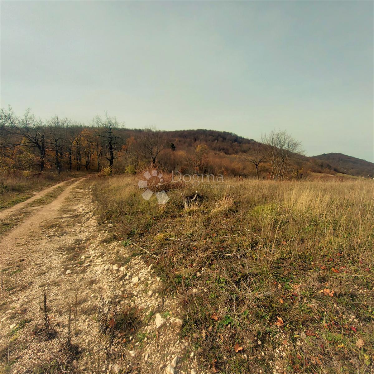 Land For sale - Ličko-senjska Donji Lapac - foto 3/3