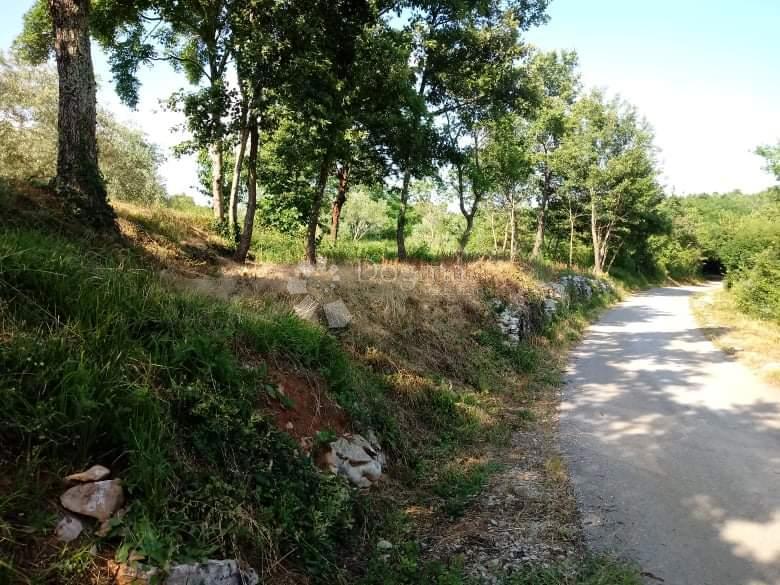 Terreno In vendita BUZET