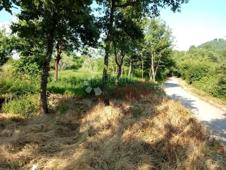 Terreno In vendita - ISTARSKA BUZET