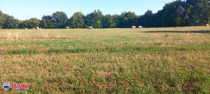Zemljište na prodaju 8182 m² – Svetvinčenat