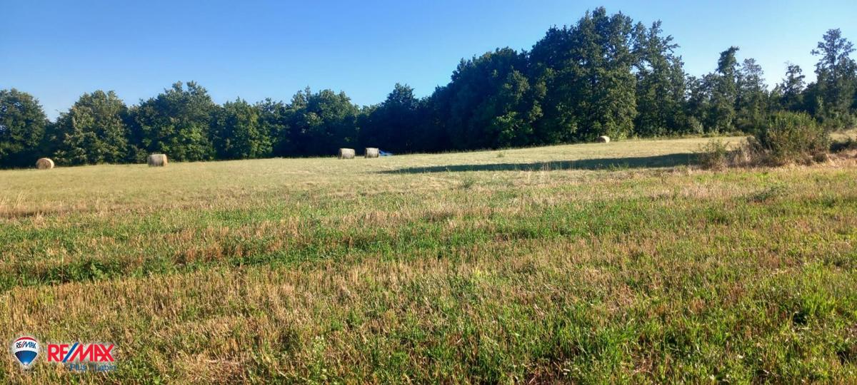 Pozemok Na predaj - Istarska Svetvinčenat - foto 2/2