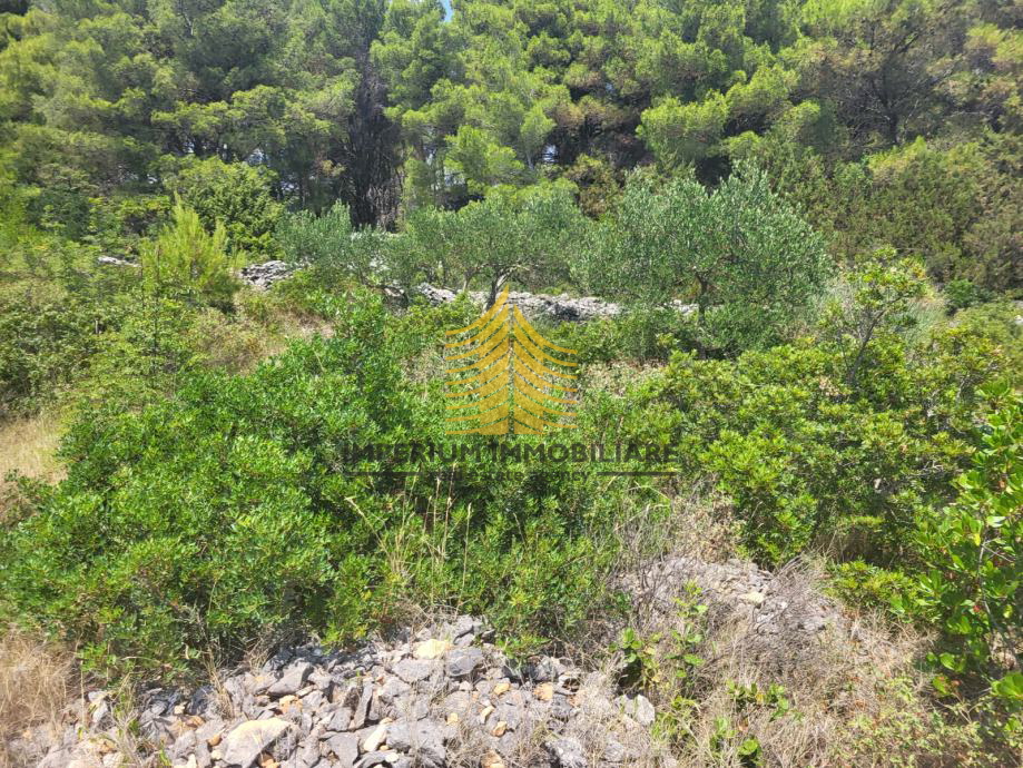 Terreno In vendita - SPLITSKO-DALMATINSKA BRAČ