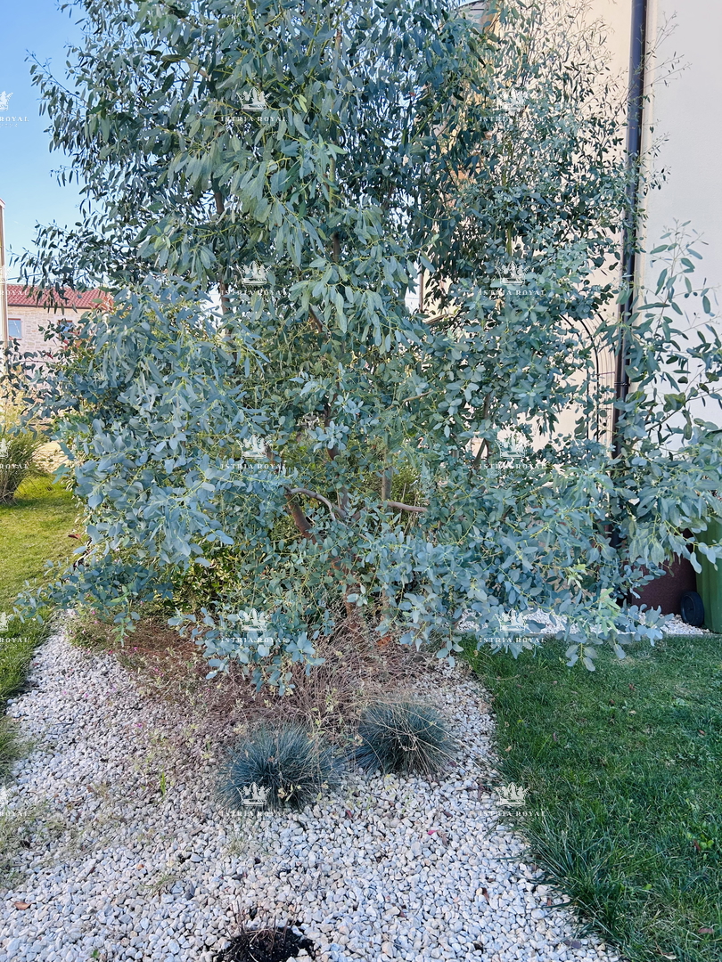 Flat For sale - ISTARSKA TAR-VABRIGA