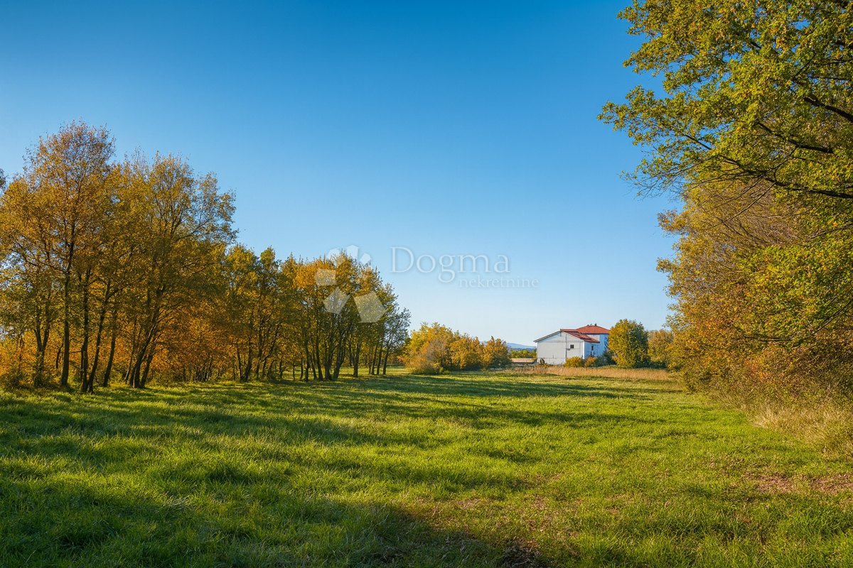 Land For sale TINJAN