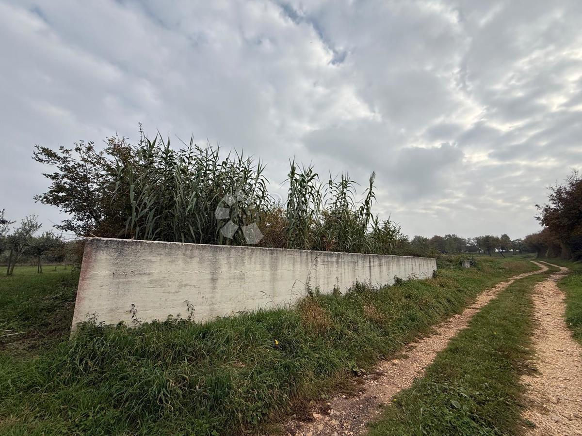 Land For sale - Istarska Tar-vabriga - foto 3/4