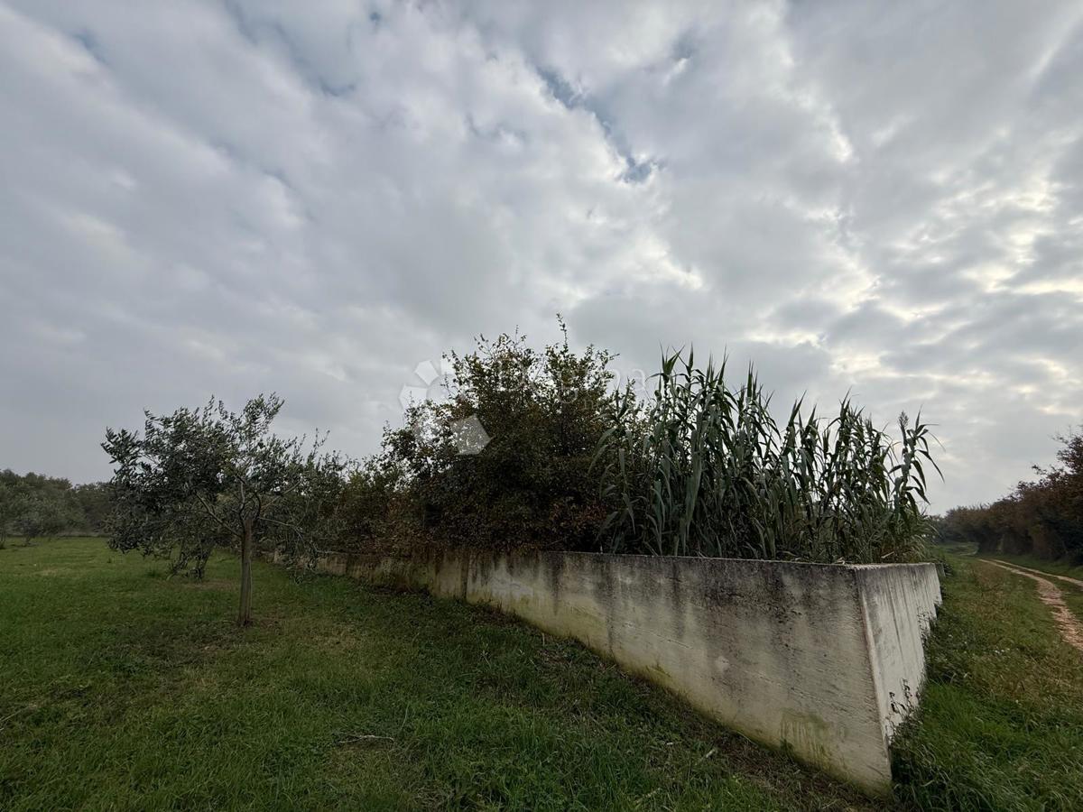 Land For sale - Istarska Tar-vabriga - foto 4/4