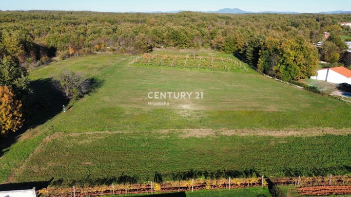 Pozemok na predaj 1575 m² – Svetvinčenat