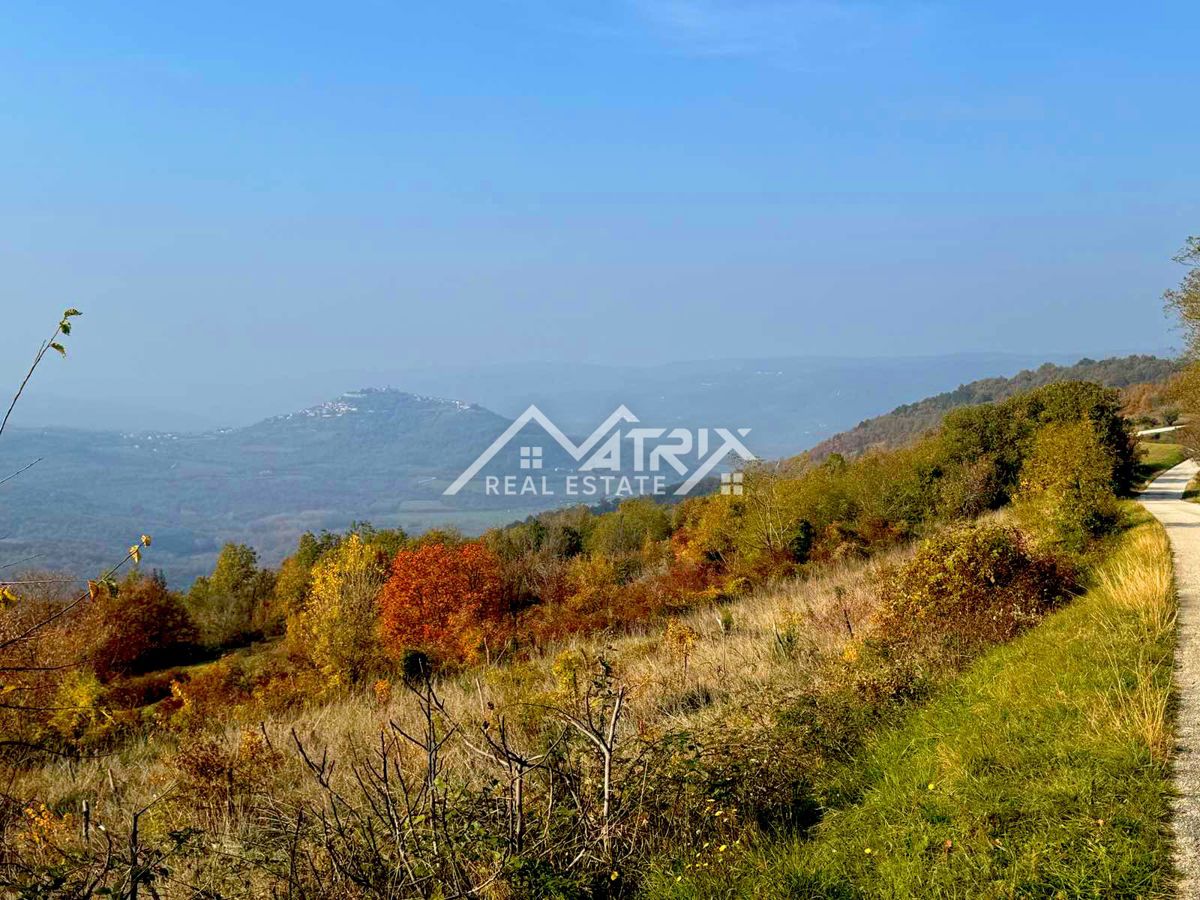 Terrain À vendre - Istarska Motovun - foto 1/6