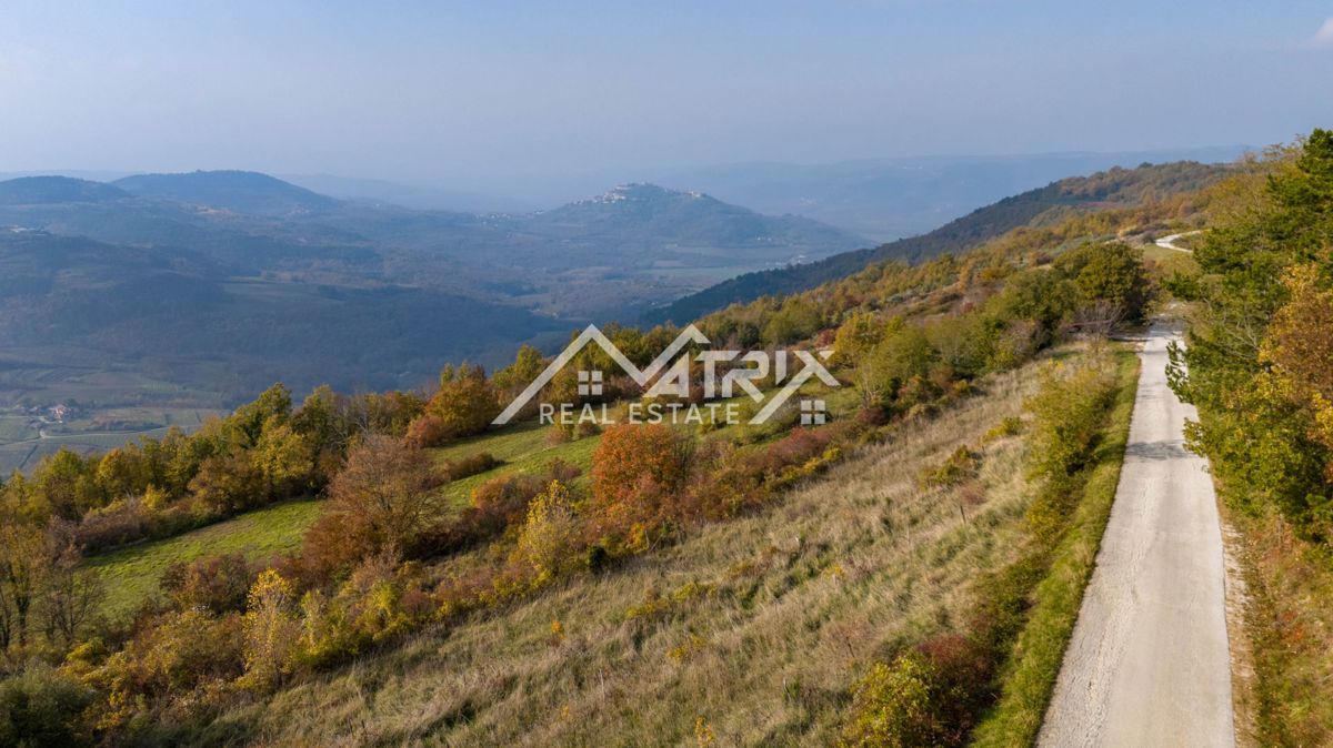 Terrain À vendre - ISTARSKA MOTOVUN
