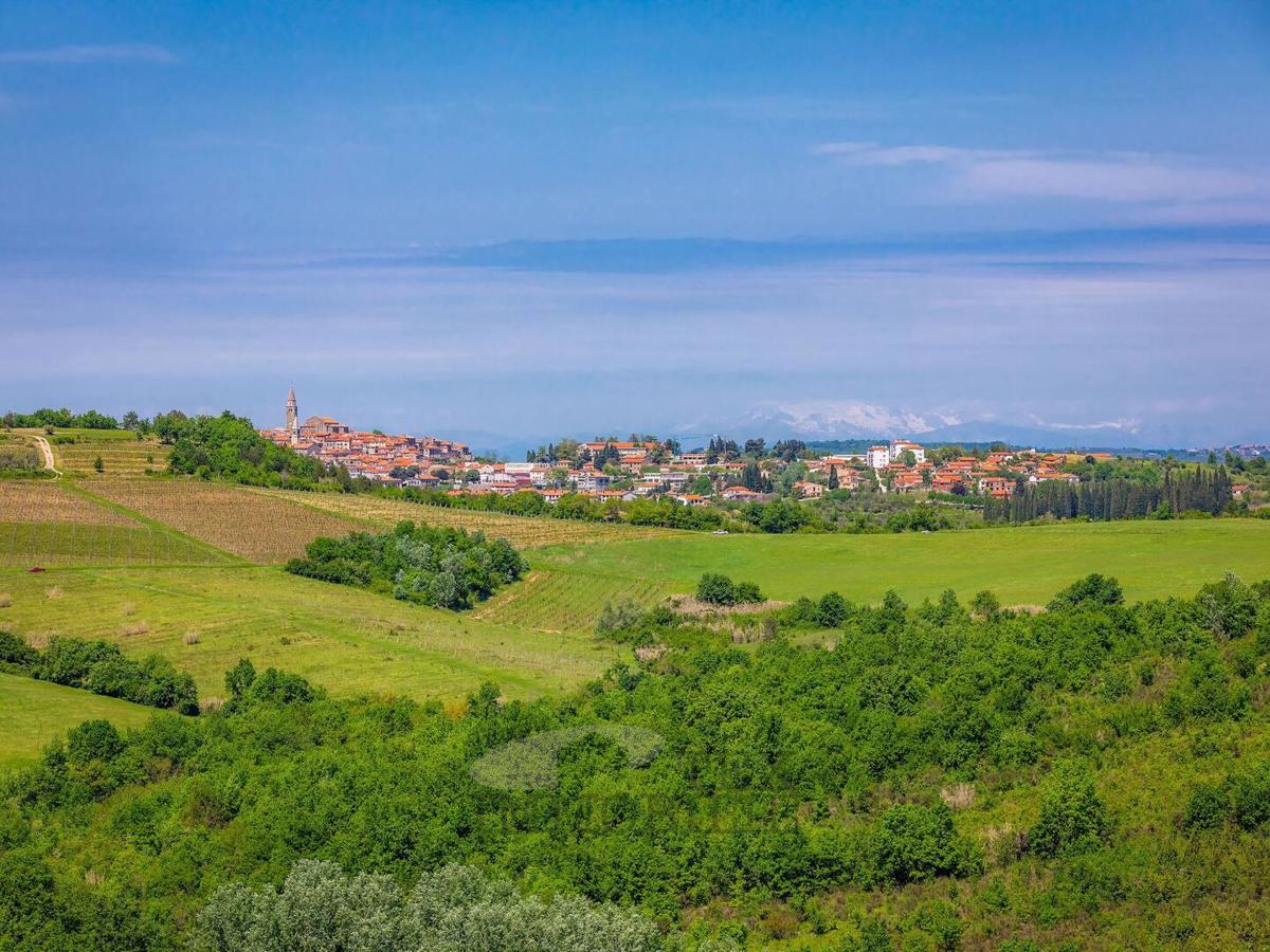 House For sale - ISTARSKA BUJE