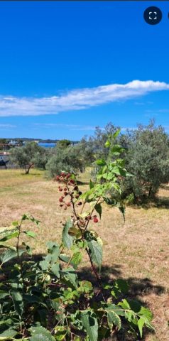 Land for sale 2870 m² – Fažana