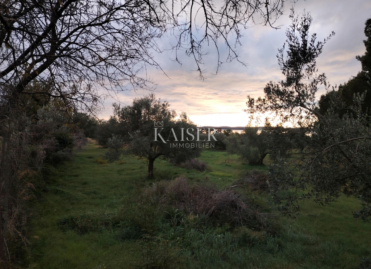 Land For sale - ISTARSKA FAŽANA